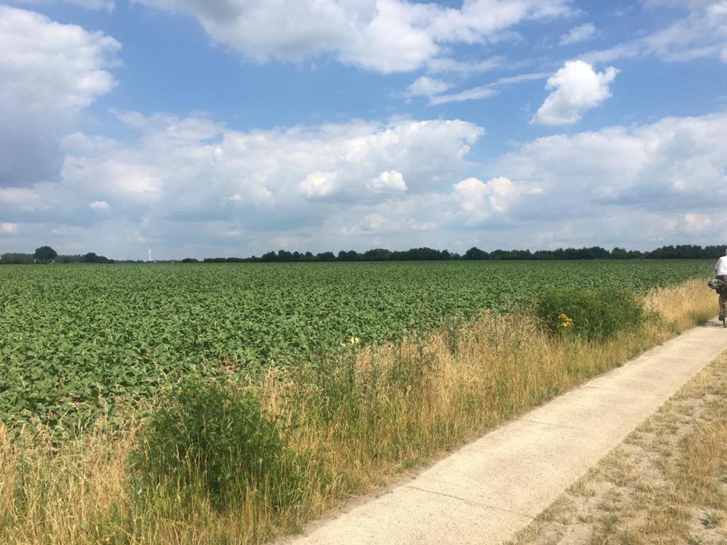 Apartmán Sonnenschein Uelzen Exteriér fotografie