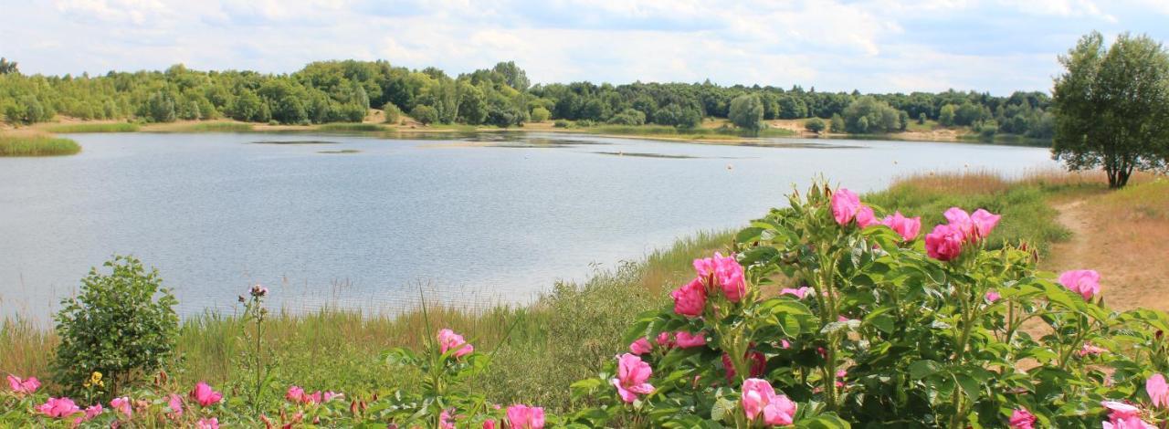 Apartmán Sonnenschein Uelzen Exteriér fotografie